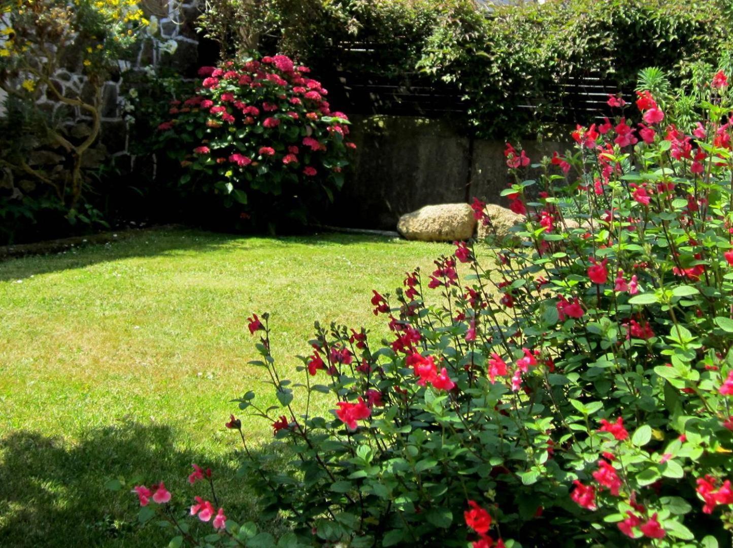 Maison Bretonne Avec Jardin, Au Coeur De Ploumanac'h En - Réf 343 Villa *
