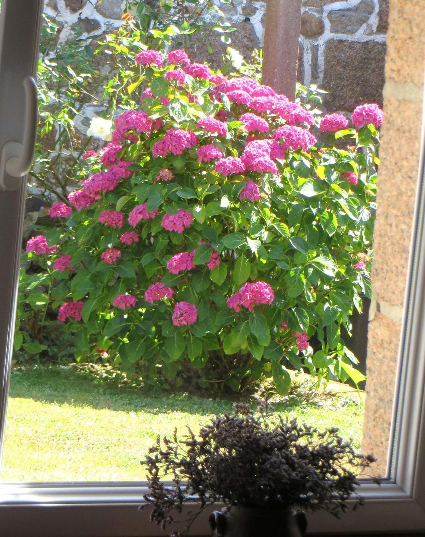 Maison Bretonne Avec Jardin, Au Coeur De Ploumanac'h En - Ref 343 Villa Perros-Guirec